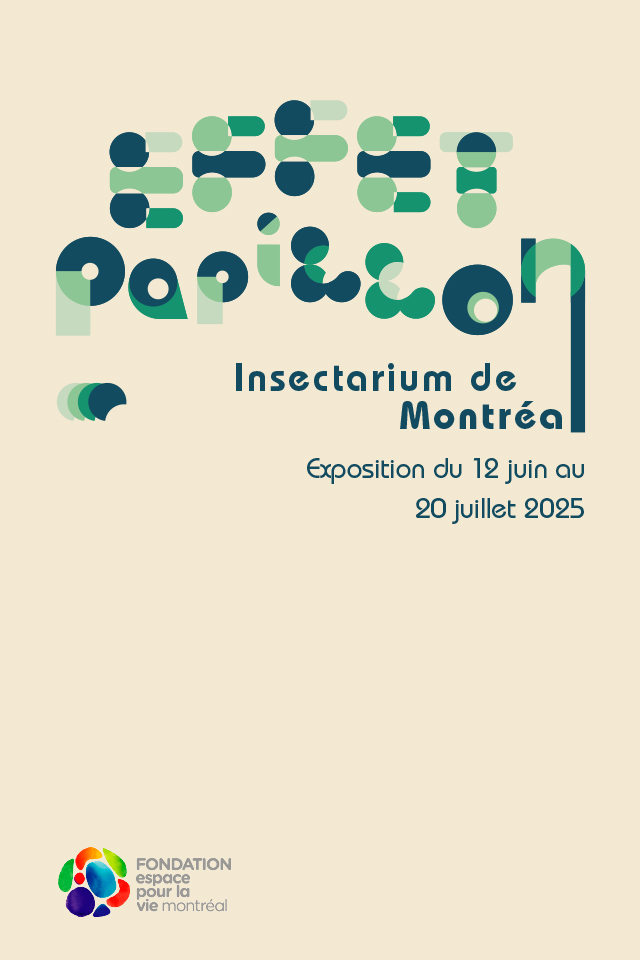 Affiche Effet