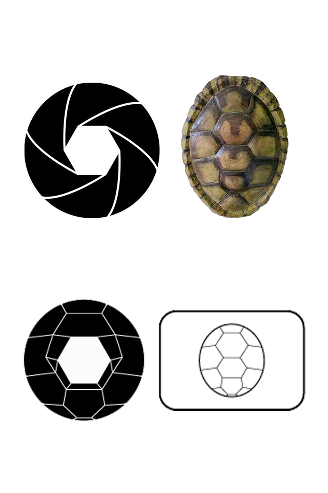 Logo concept